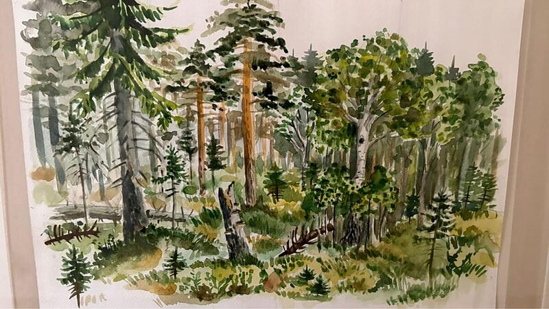 Daigas Segliņas zīmējumu izstāde “Dabas daudzveidība zīmējumos”