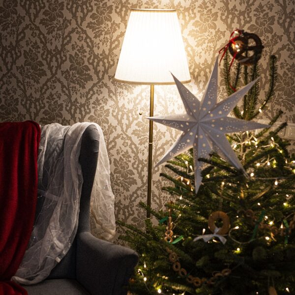 ZIEMASSVĒTKU VIESISTABA 2025