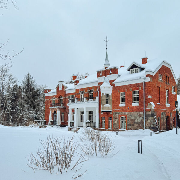 Ziema un sniegs muižas parkā 11/02/2026