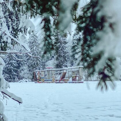 White winter in Luznava Manor Park