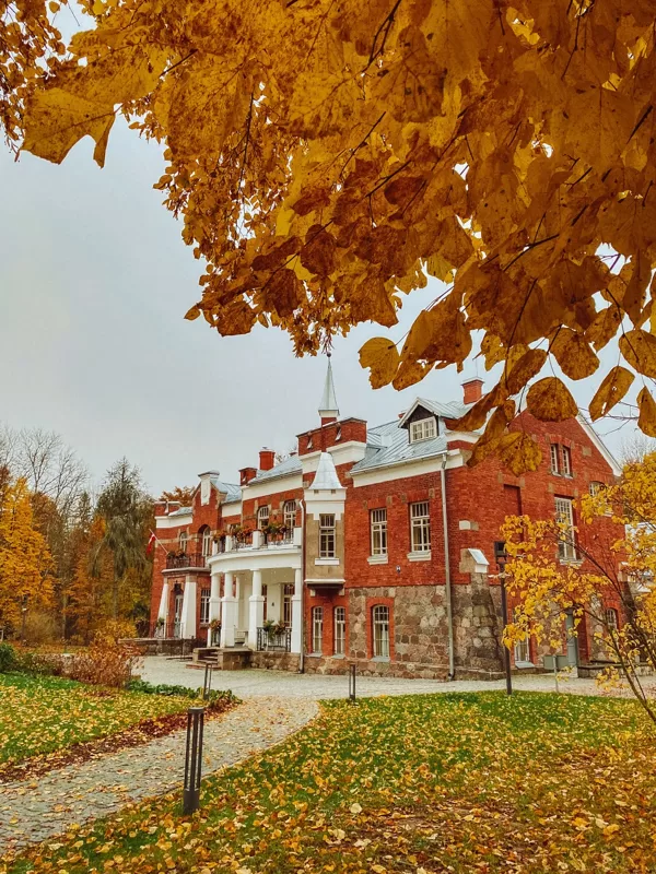 RUDENS LŪZNAVĀ 31/10/2020