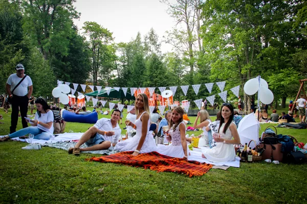 MĀKSLAS PIKNIKS 2018