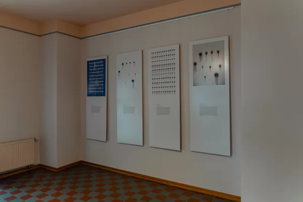 Izstāde KODIFIKĀCIJU MĀKSLA
