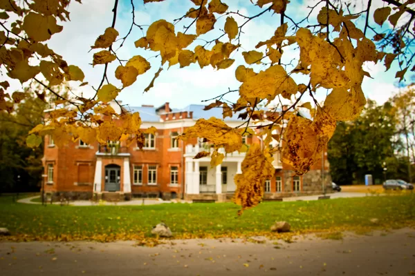 ZELTA RUDENS LŪZNAVĀ
