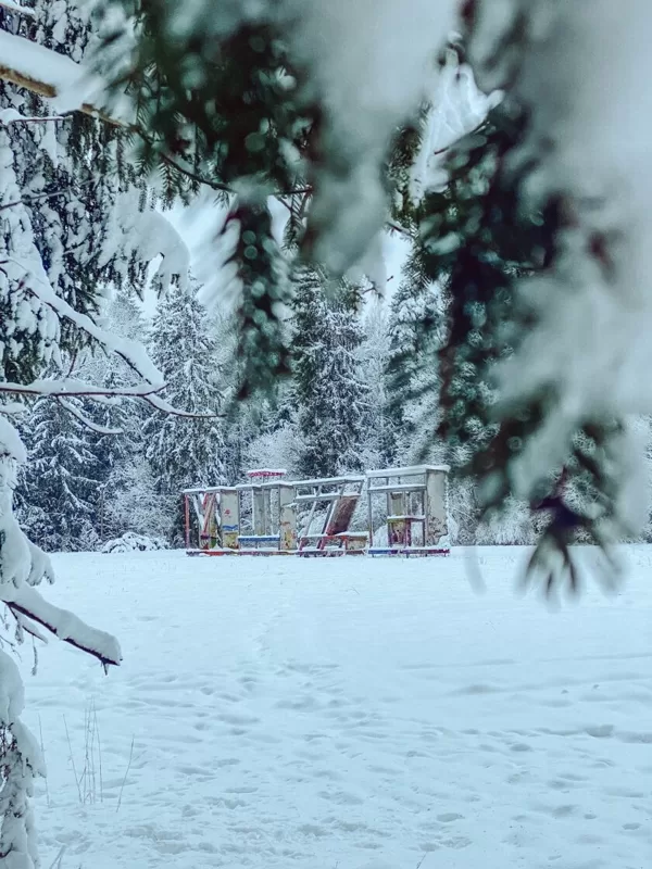 White winter in Luznava Manor Park