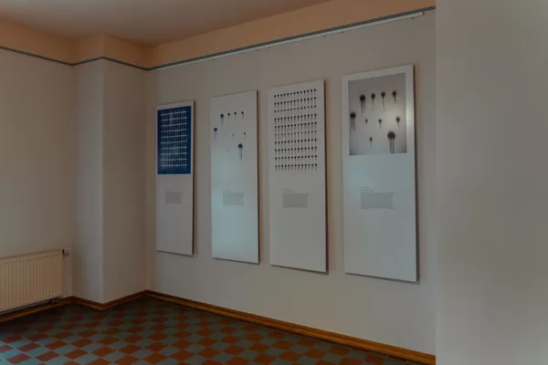 Exhibition KODIFIKĀCIJU MĀKSLA