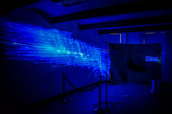 Digital art exhibit "ECHO CHAMBER"