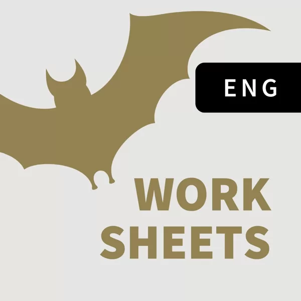 ENG WORKSHEETS